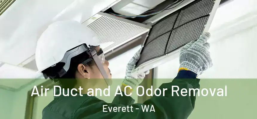 Air Duct and AC Odor Removal Everett - WA