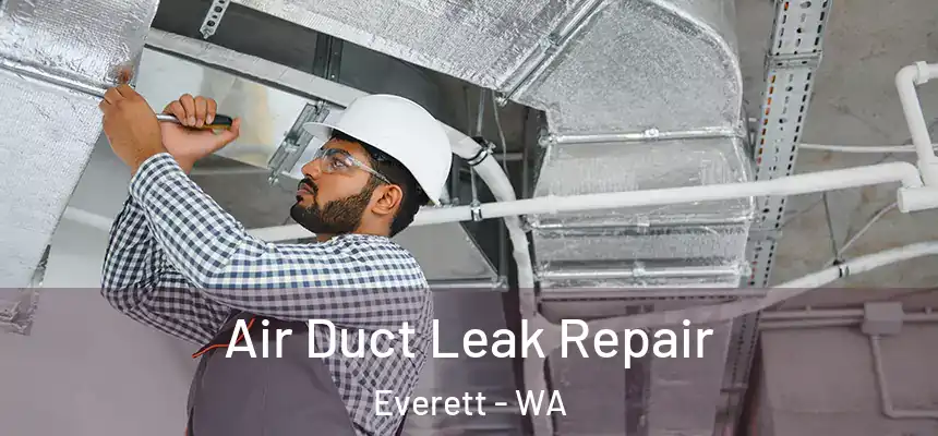  Air Duct Leak Repair Everett - WA