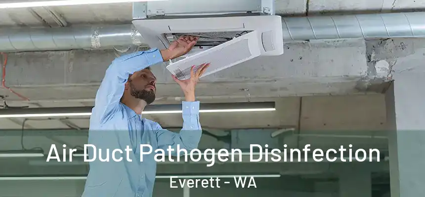 Air Duct Pathogen Disinfection Everett - WA