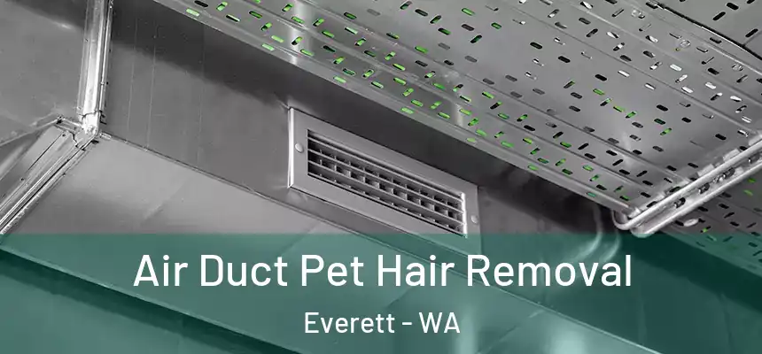  Air Duct Pet Hair Removal Everett - WA