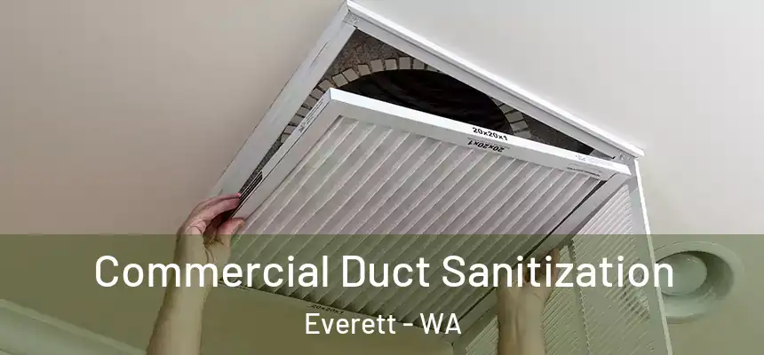 Commercial Duct Sanitization Everett - WA