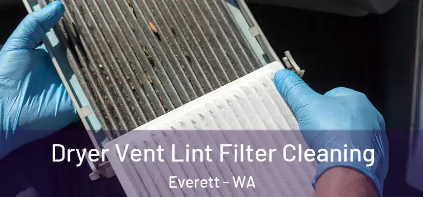 Dryer Vent Lint Filter Cleaning Everett - WA