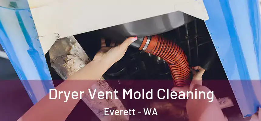 Dryer Vent Mold Cleaning Everett - WA