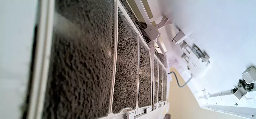 Preventive Air Duct Bacteria Removal in Everett