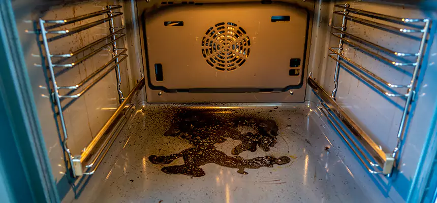 Our Air Purifier Installation Services in Everett, WA