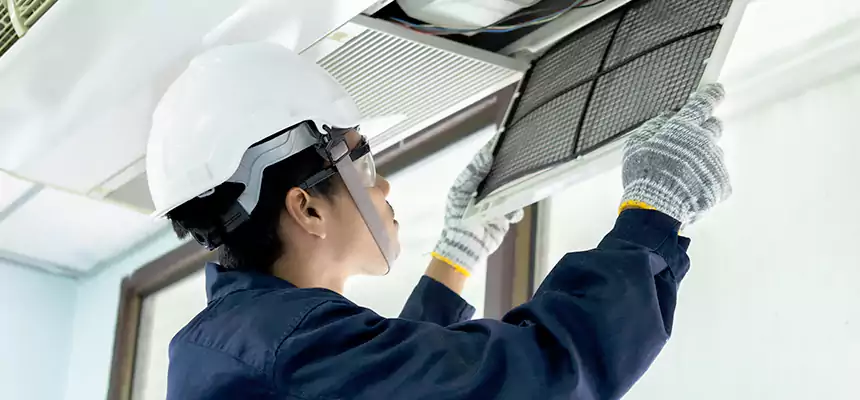 Our Mold & Mildew Removal from Air Ducts Services in Everett, WA