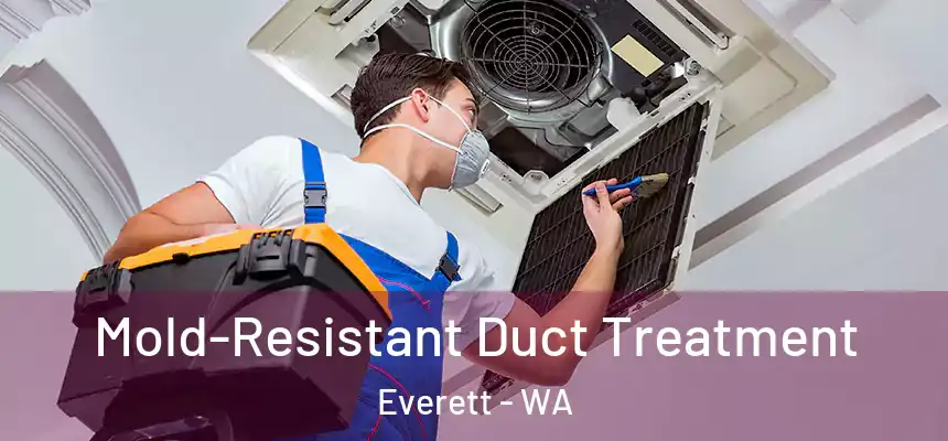  Mold-Resistant Duct Treatment Everett - WA