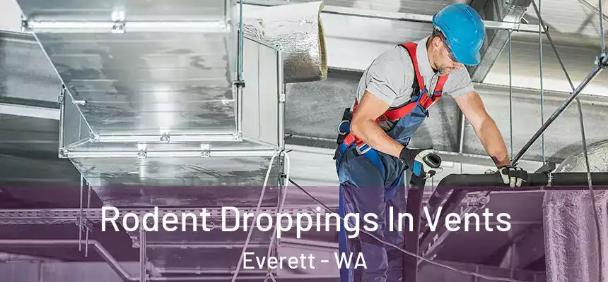 Rodent Droppings In Vents Everett - WA