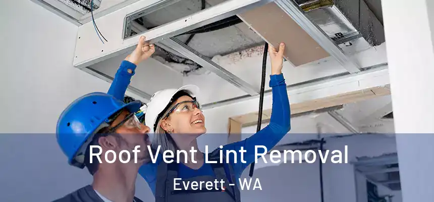 Roof Vent Lint Removal Everett - WA