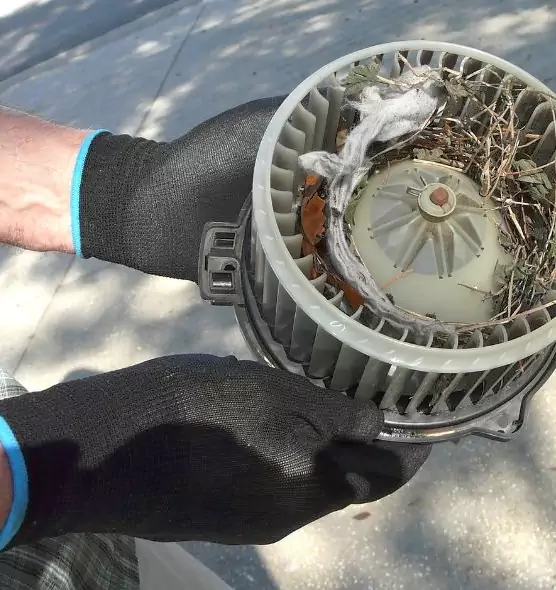 About Air Duct Rat Removal in Everett, WA