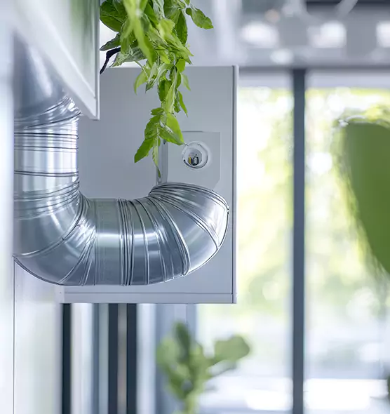 Professional Eco-Safe Dryer Vent Cleaning in Everett, WA