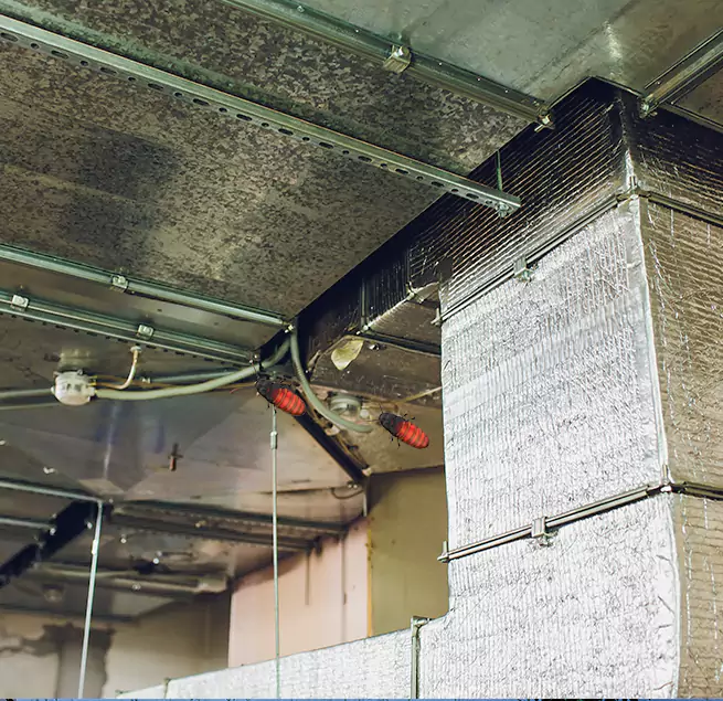 Why Homeowners & Businesses Trust Us in Everett, WA?