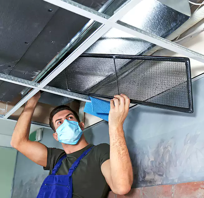 Why Homeowners Businesses Trust Us in Everett, WA