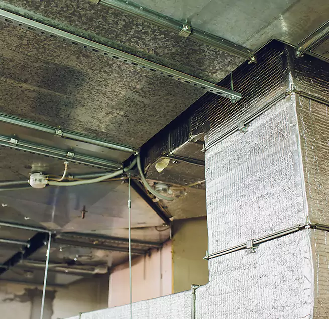 Why Homeowners & Businesses Trust Us in Everett, WA?